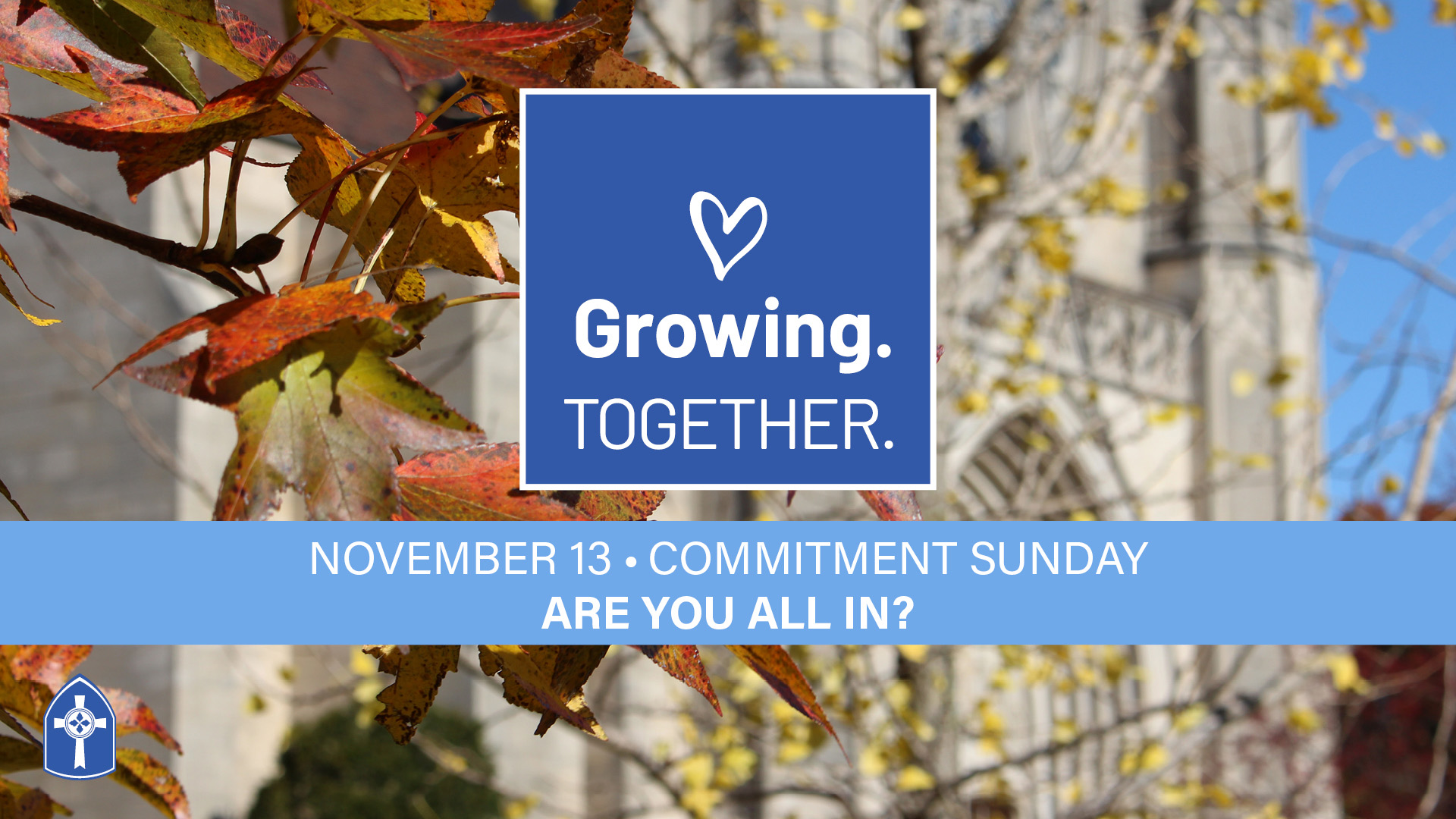 Are You All In?